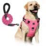 No Pull Dog Harness & Leash Set (2 Counts/set), Escape Proof Reflective Adjustable Pet Vest, Soft Padded Pet Harness with Handle for Small To Large Dogs