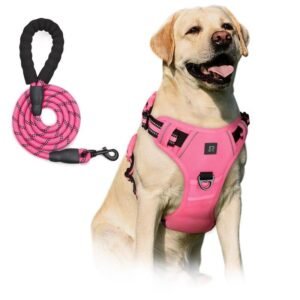 No Pull Dog Harness & Leash Set (2 Counts/set), Escape Proof Reflective Adjustable Pet Vest, Soft Padded Pet Harness with Handle for Small To Large Dogs